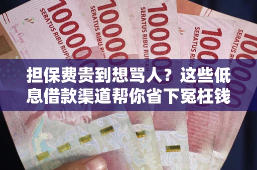 北京担保费贵到想骂人？这些低息借款渠道帮你省下冤枉钱