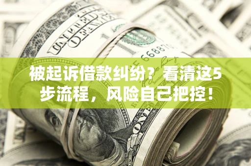 北京被起诉借款纠纷？看清这5步流程，风险自己把控！